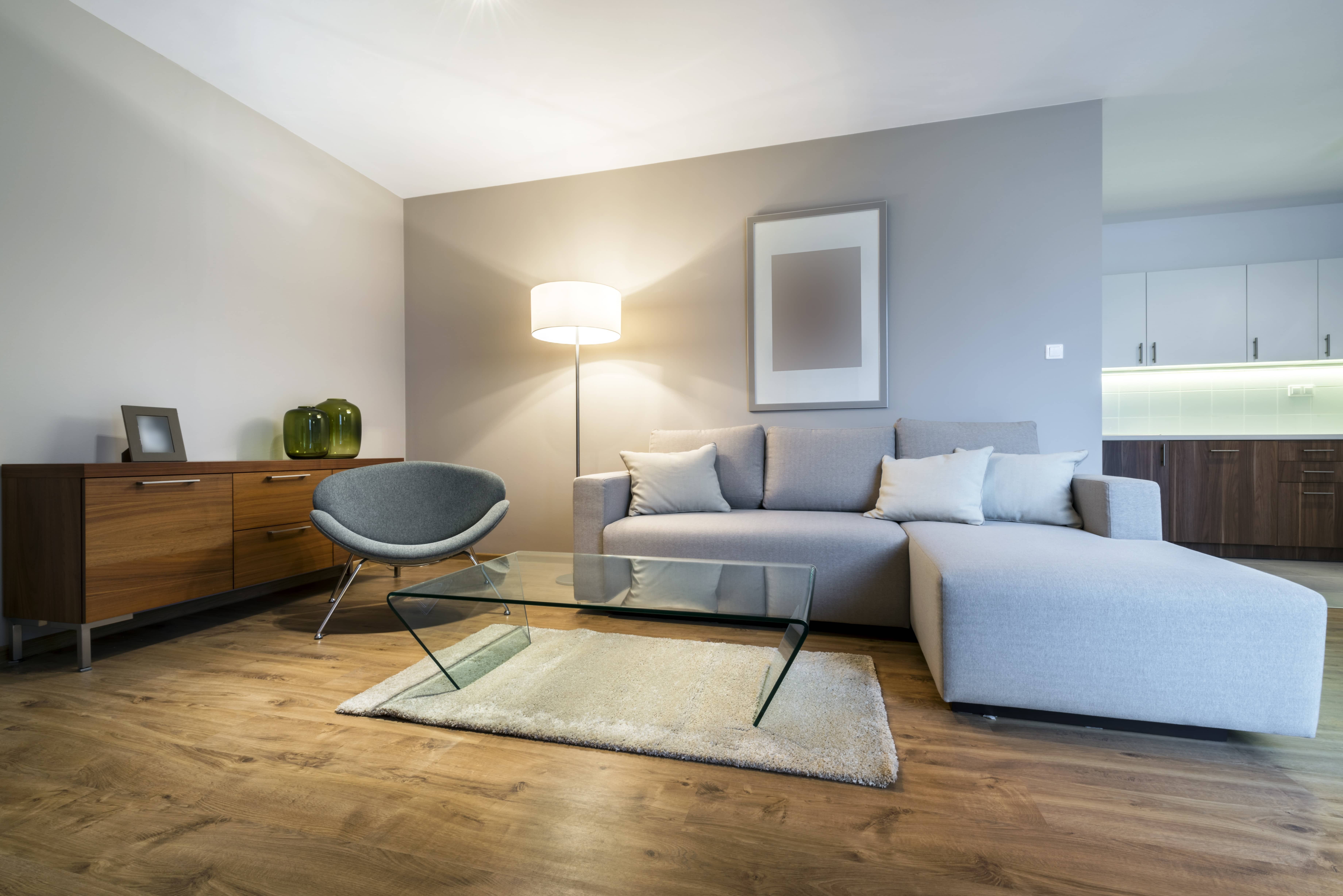 Salon meublé, immobilier neuf et moderne